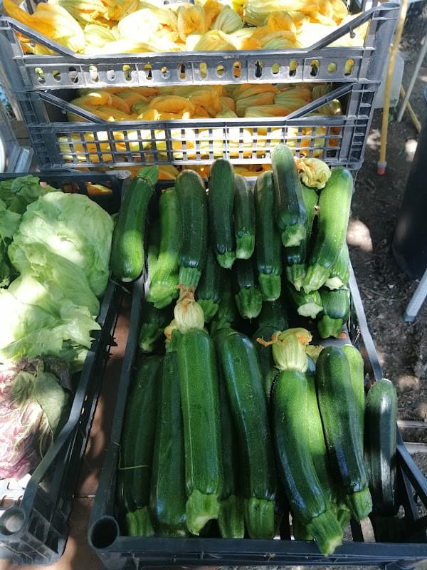 Immagine di Azienda Agricola Matei Daniela a Roma, Lazio