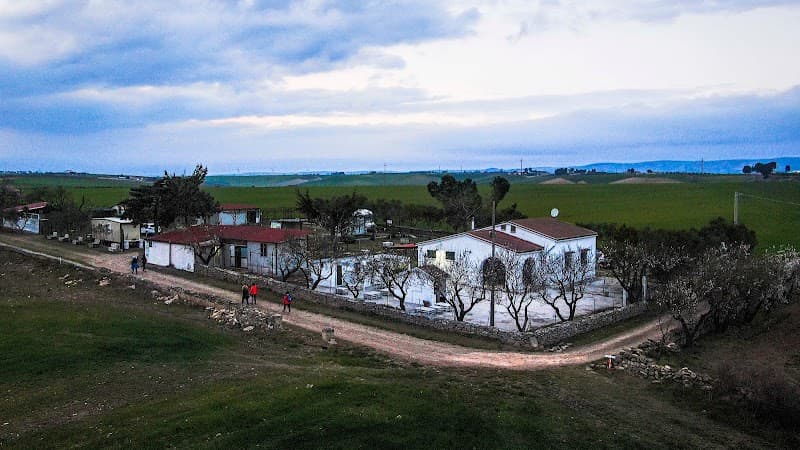 Immagine di Agricola Capone a Gravina in Puglia, Puglia