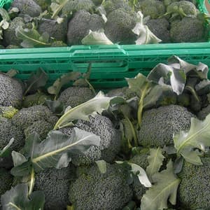 Immagine di Eurofrutticola Sud a San Valentino Torio, Campania