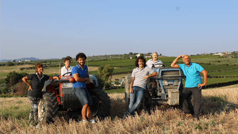Immagine di Azienda Agricola "NILO" a Vasto, Abruzzo