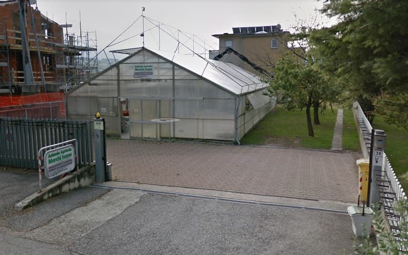 Immagine di Azienda Agricola Marchi Ivano a Località Produttiva I, Trentino-Alto Adige