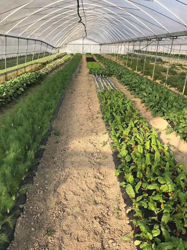 Immagine di Azienda agricola Ecoqua a Poincicco, Friuli-Venezia Giulia
