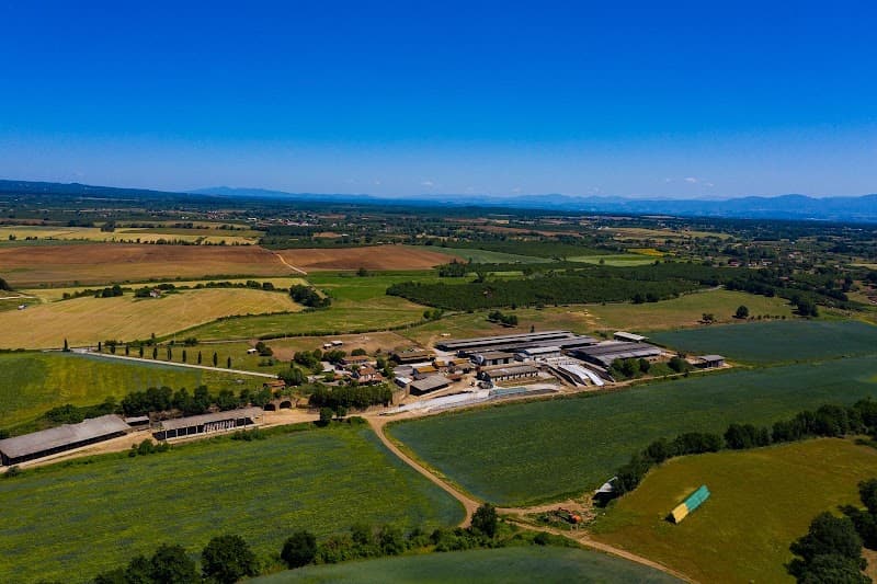 Immagine di Azienda Agricola Vita a Viterbo, Lazio