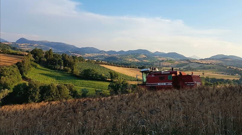 Immagine di Azienda Agricola Biologica Valentini a Filottrano, Marche