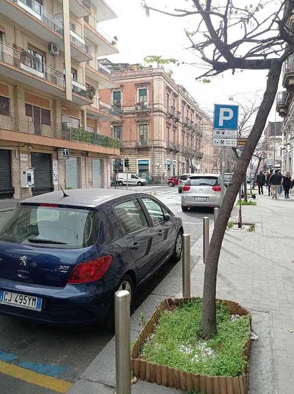 Immagine di Ortofrutta Il Ficodindia a Catania, Sicilia