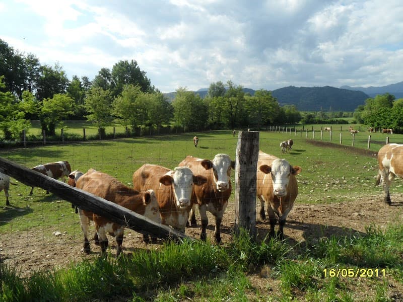 La Bolane - Azienda Agricola e spaccio carni