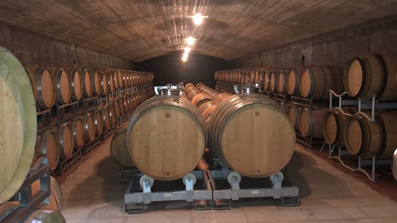 Immagine di Cesconi Società Agricola a Trento, Trentino-Alto Adige