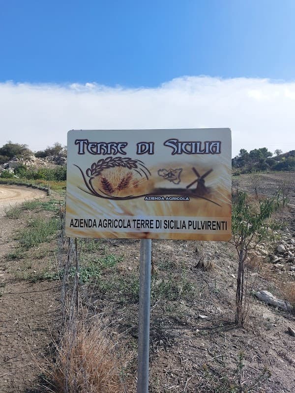 Immagine di Az.Agricola Terre di Sicilia a Ramacca, Sicilia