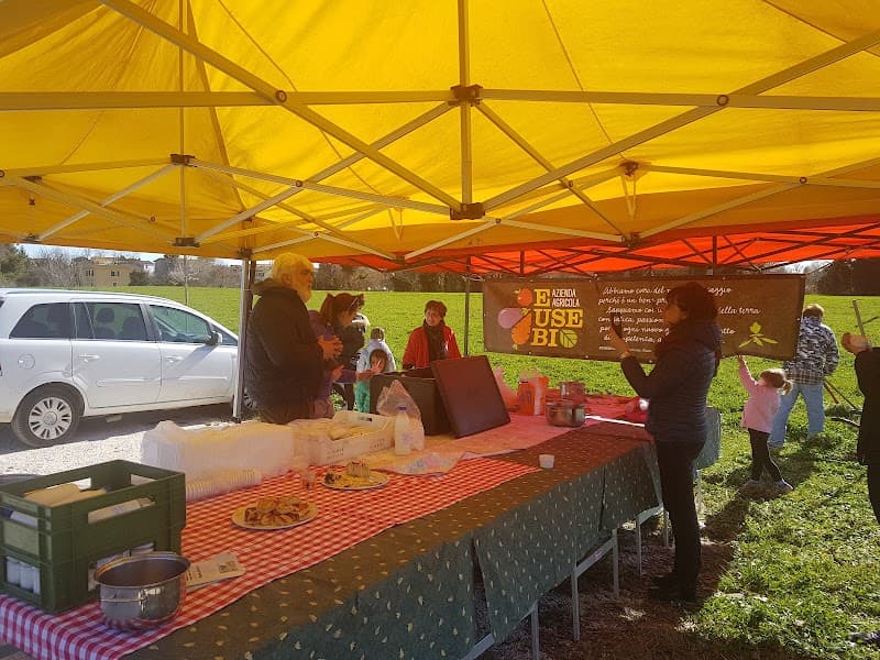 Immagine di Azienda agricola Eusebi (AgriEusebi) a Fano, Marche