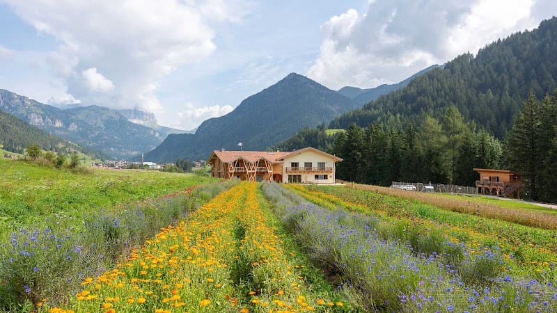 Immagine di Fiores Eco-Green Agriturismo e Azienda Agricola Biologica a Trento, Trentino-Alto Adige