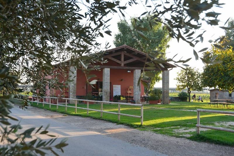 Anteprima immagine