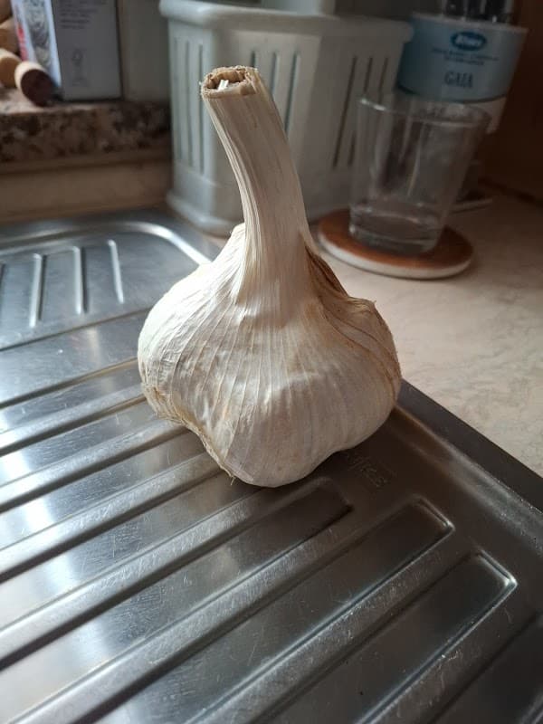 Immagine di Azienda agricola Tonazzolli Roberto rivendita diretta. a Tuoro sul Trasimeno, Umbria