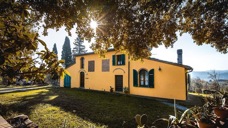 Immagine di Fattoria Aglioni a Pisa, Toscana