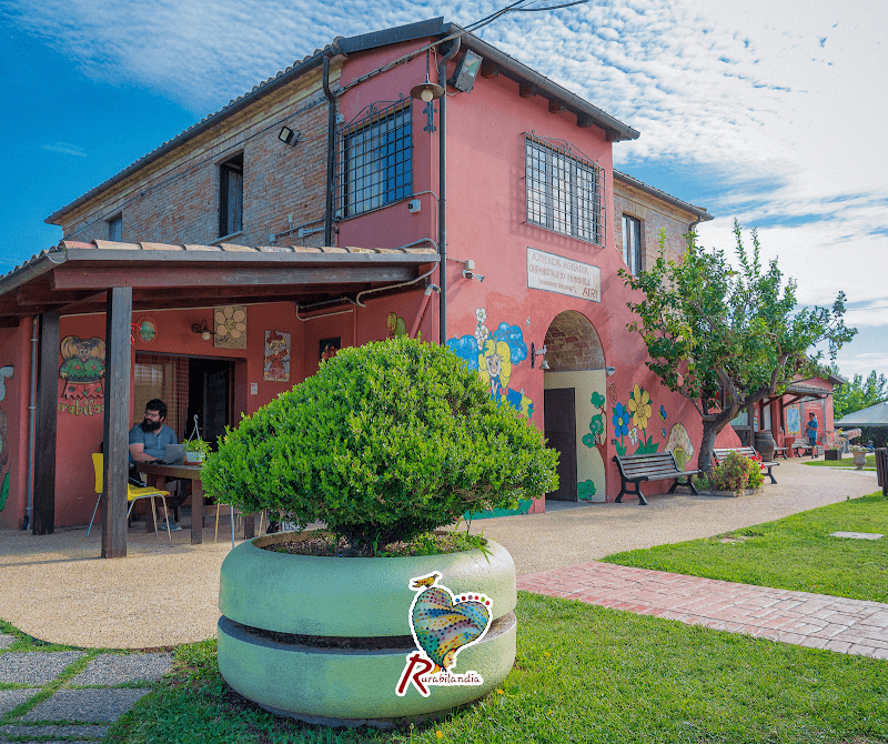 Immagine di Rurabilandia - Fattoria Didattica e Agriturismo Sociale a Atri, Abruzzo