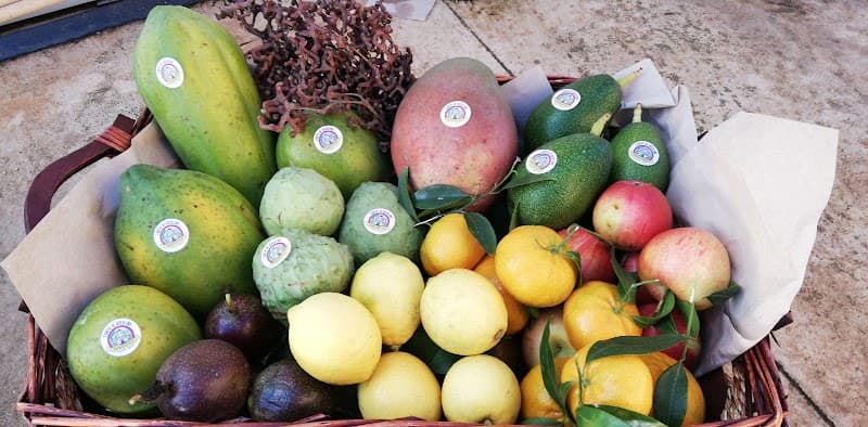 Immagine di L'Orto di Rosolino a Palermo, Sicilia
