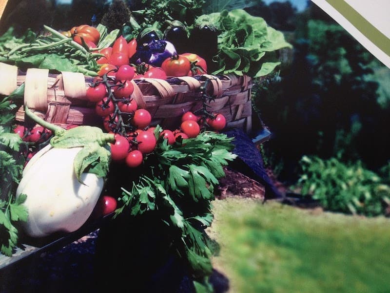 Immagine di Azienda agricola biologica Terra del sole a Latina, Lazio
