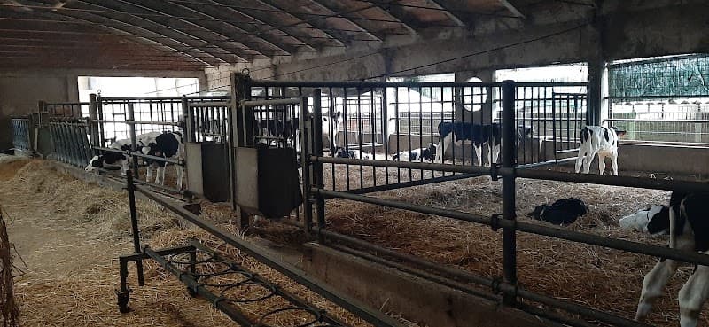 Immagine di Societa'Agricola Previtali Ss a Chignolo d'Isola, Lombardia