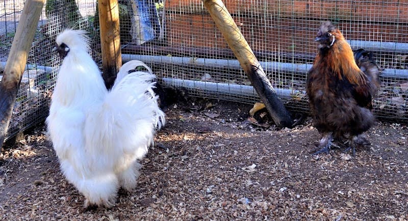 Immagine di Azienda Agricola i Buoni Frutti a Vittorio Veneto, Veneto