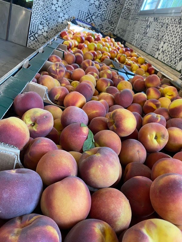 Immagine di Agricola Bivona Fossolo a Bologna, Emilia-Romagna
