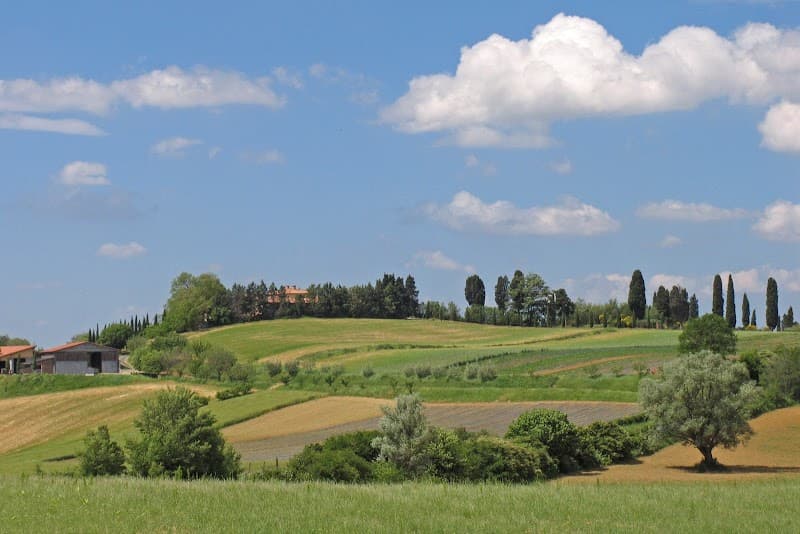 Immagine di Azienda Agricola Poggio di Camporbiano a Arezzo, Toscana