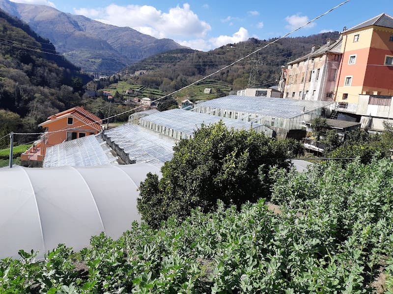 Immagine di Azienda Agricola Giacumin a Genova, Liguria