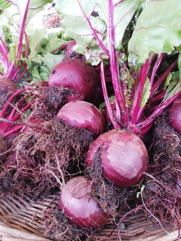 Immagine di Le Capinere - az. agricola biologica a Busto Arsizio, Lombardia