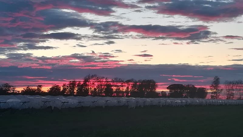 Immagine di Montella Bio Azienda Agricola Biologica a Frignano, Campania