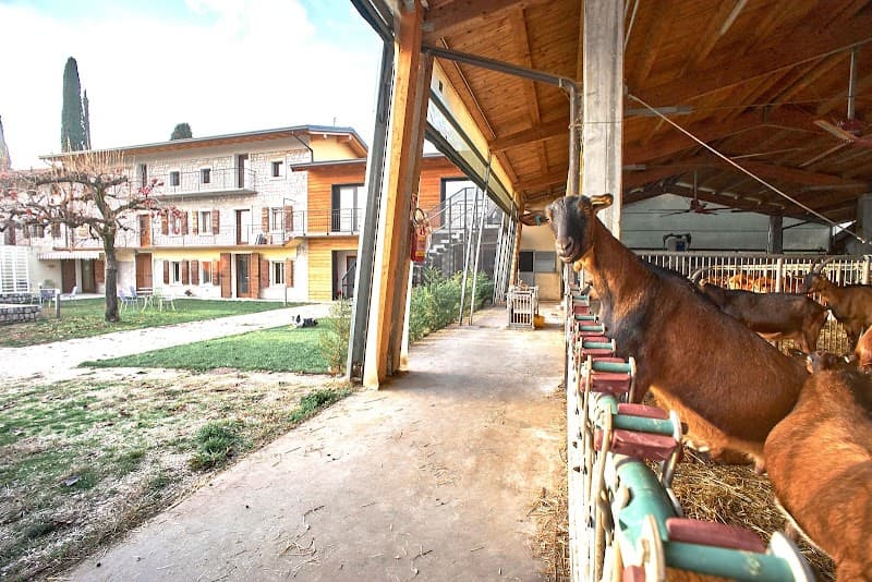 Caseificio Agricolo San Gregorio di Massimo Cipolat