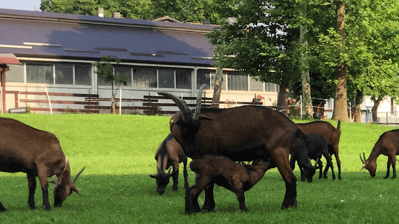 Immagine di Cascina Sbianca a Besana in Brianza, Lombardia