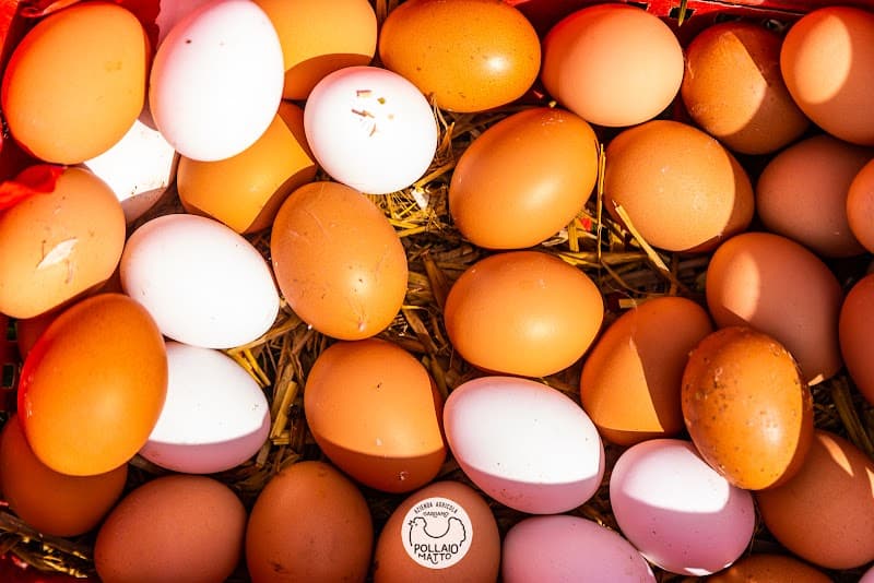 Immagine di Azienda Agricola Gargano a Palermo, Sicilia