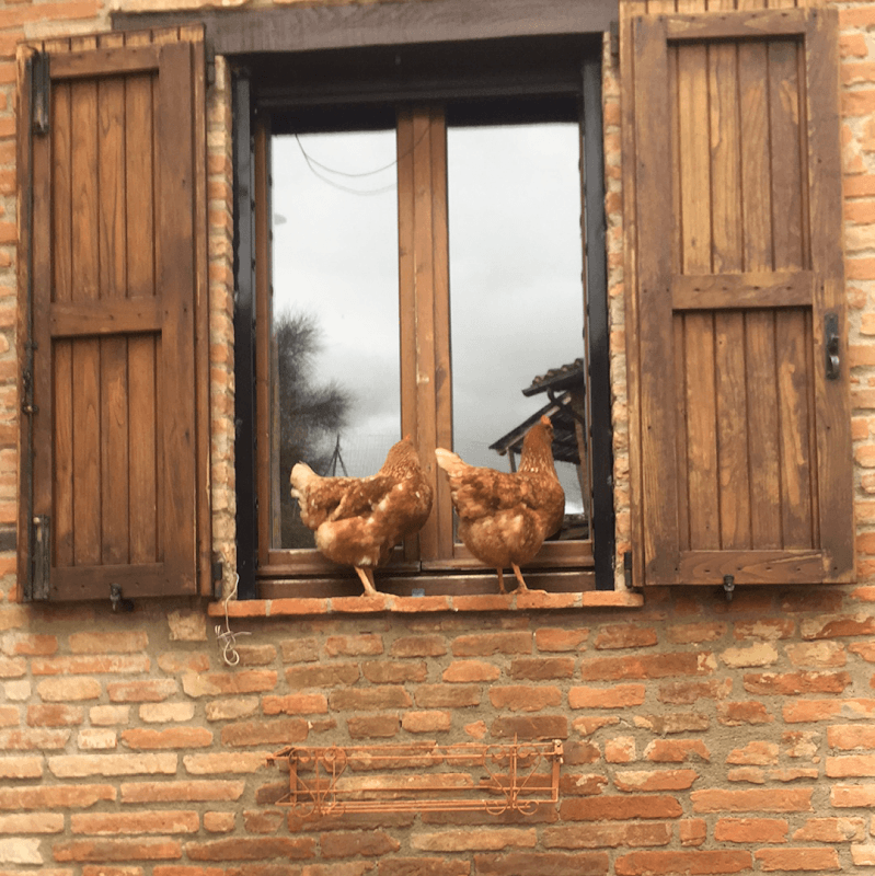 Immagine di La Casina Bassa agriturismo biologico a Poggio del Sole, Sicilia