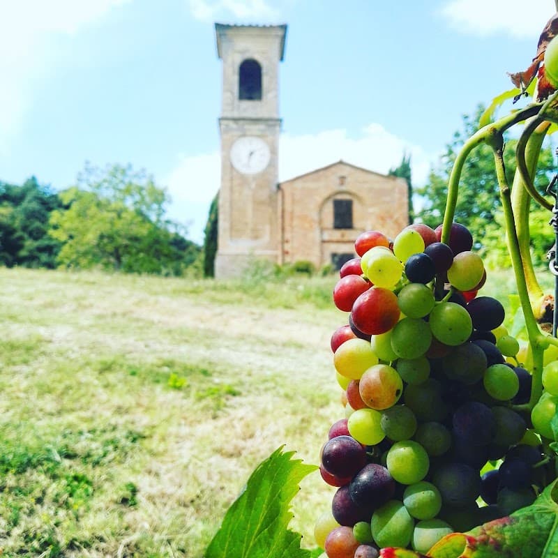 TIZZANO Società Agricola S.r.l.