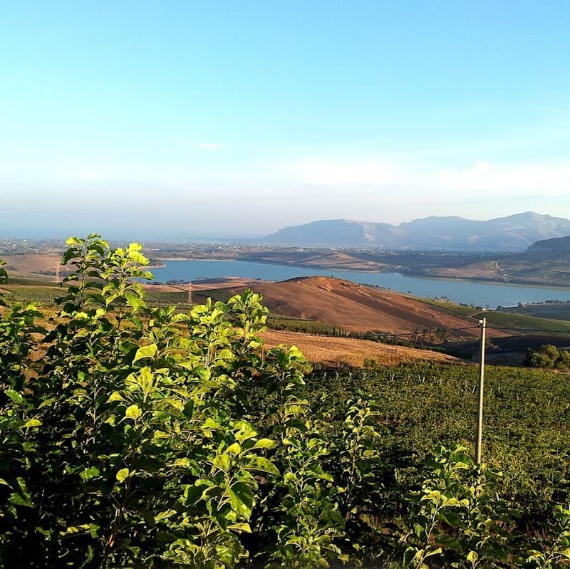 Immagine di Azienda Agricola Mariscò a Montelepre, Sicilia