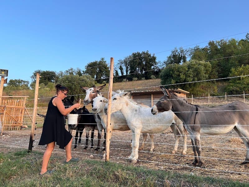 Immagine di Ca di Luna - Asineria & Agricoltura Sociale a Montefano, Marche