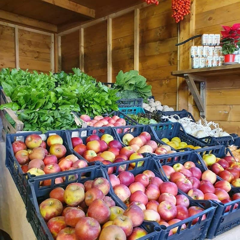 Immagine di Azienda Agricola Biologica 'La Carascosa' a Guadagni, Campania