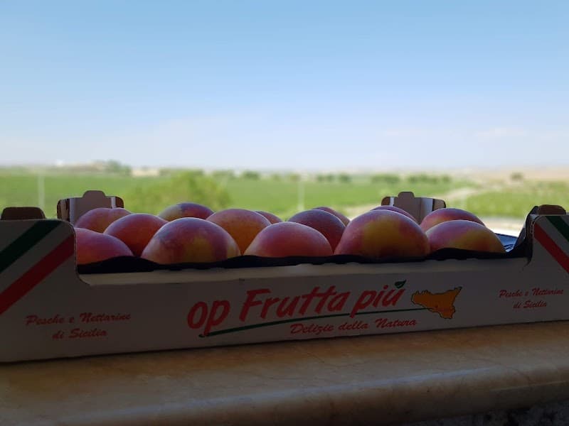 Immagine di Sicilfruit - Azienda agricola biologica a Butera, Sicilia