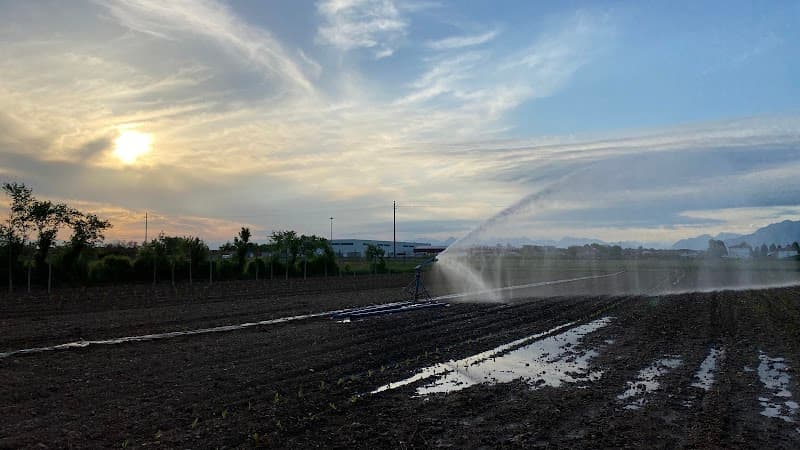 Immagine di Az Agricola Tommaso Clocchiatti a Udine, Friuli-Venezia Giulia
