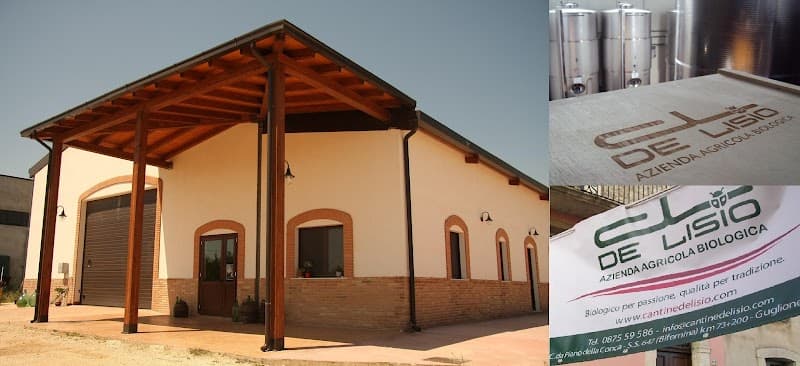 Immagine di Cantine De Lisio - Az. Agr. Biologica a Campobasso, Molise