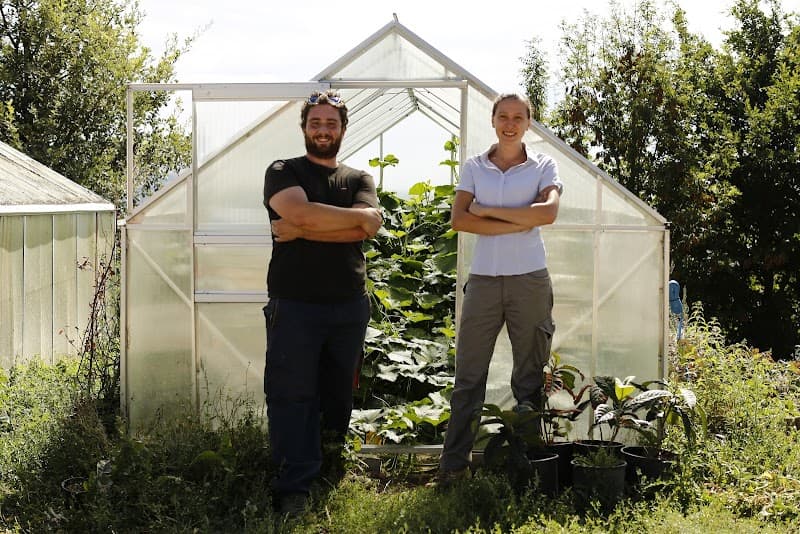 Immagine di Società Agricola Alba - Azienda agricola multifunzionale - Formaggi e prodotti biologici a Campobasso, Molise