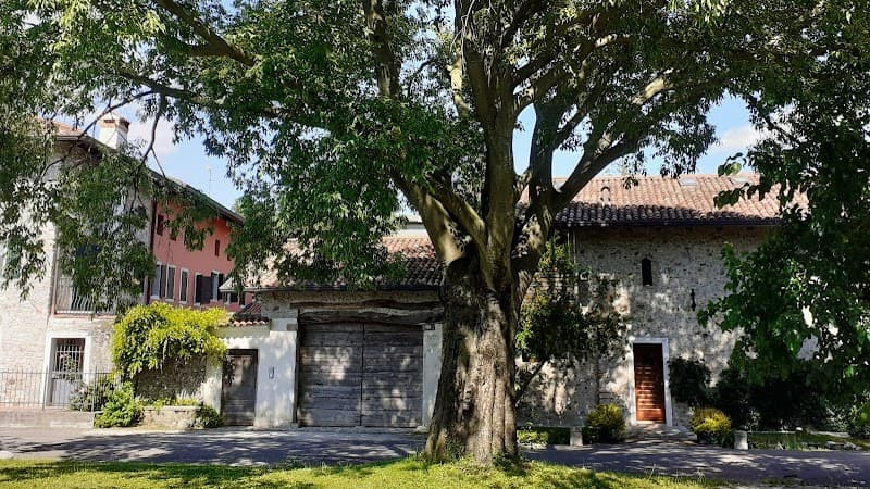 Immagine di Az. Agr. Mussutto Giuseppe-Francesco a Udine, Friuli-Venezia Giulia