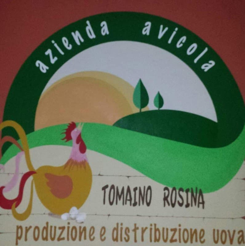 Anteprima immagine