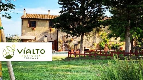 Immagine di Fattoria vialto a Pisa, Toscana