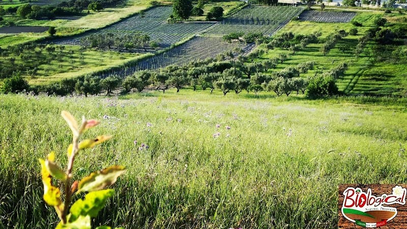 Immagine di Biological - Azienda Agricola a Catanzaro, Calabria