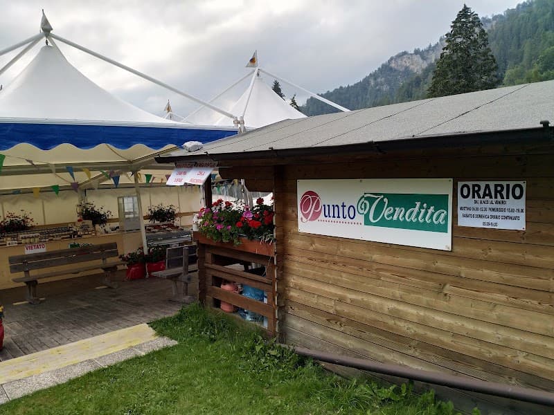 Immagine di Azienda Agricola Domini Albert a Sauris, Friuli-Venezia Giulia