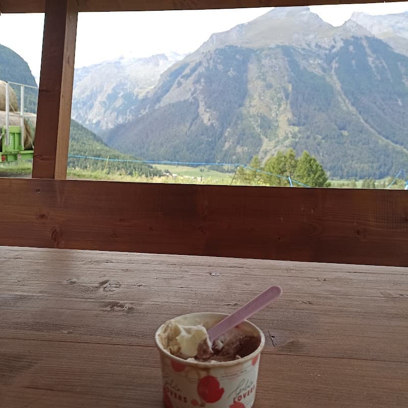 Immagine di Azienda Agricola Costa del Pino a Cogne, Valle d'Aosta