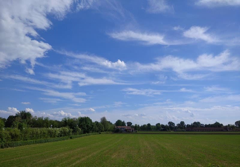 Immagine di Azienda agricola Rosin a Albaredo, Veneto