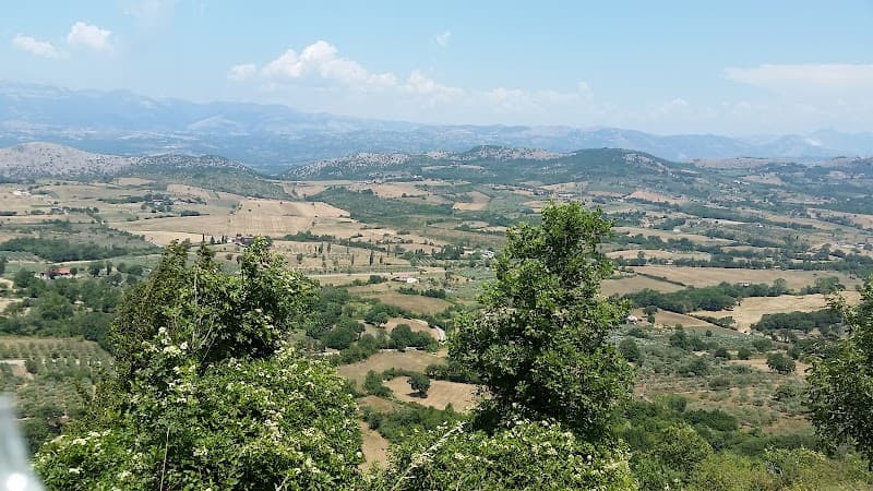 Immagine di Azienda Agricola Biologica Il Sentiero del Riccio a Nocera Superiore, Campania