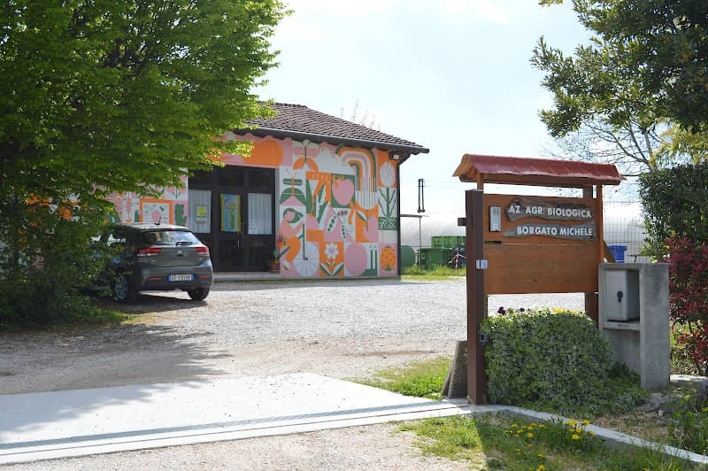 Immagine di Azienda Agricola Michele Borgato a Saonara, Veneto