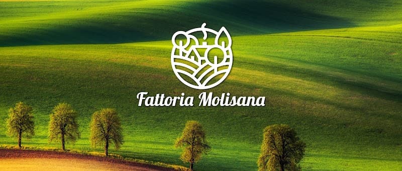 Immagine di Fattoria Molisana a Campobasso, Molise