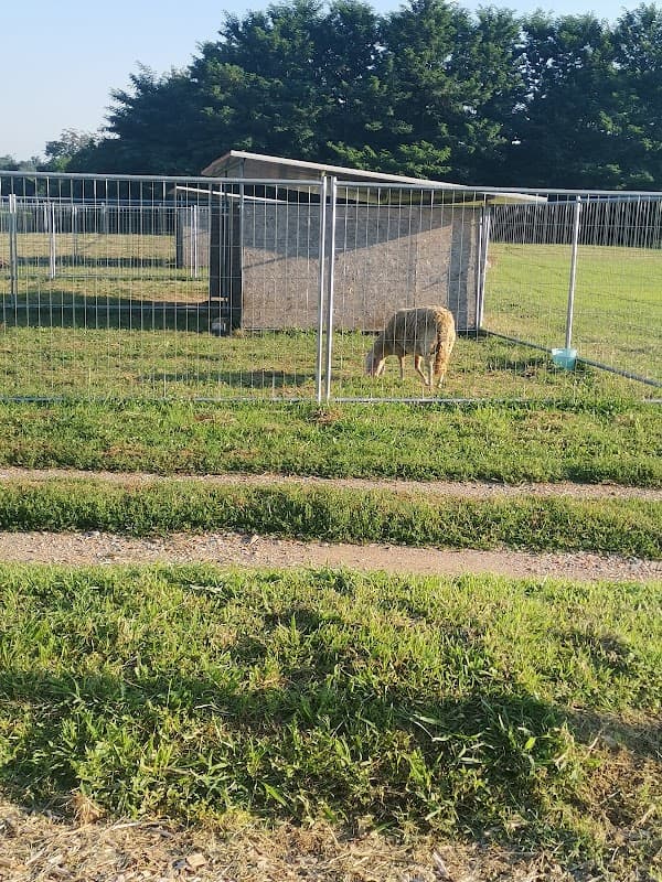 Immagine di Azienda Agricola F.lli Ponzin a Luisago, Lombardia